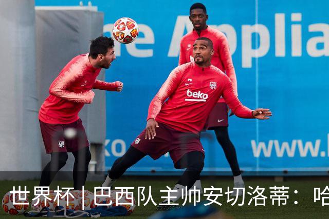 世界杯 | 巴西队主帅安切洛蒂：哈兰德决定了比赛胜负