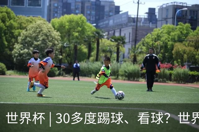 世界杯 | 30多度踢球、看球？世界杯面临的“天气考验”不仅仅是高温
