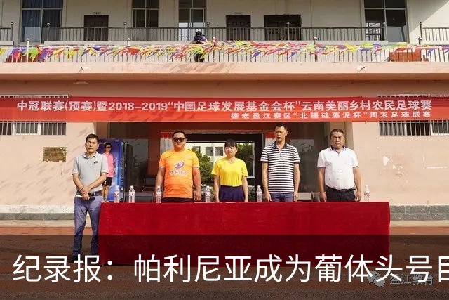 纪录报：帕利尼亚成为葡体头号目标，希望在新赛季开始前敲定交易
