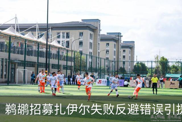 鹈鹕招募扎伊尔失败反避错误引援