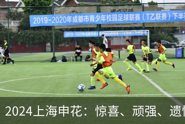 2024上海申花：惊喜、顽强、遗憾--明年拿冠军